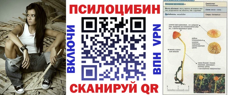 Галлюциногенные грибы Psilocybe  Купить  Старый Оскол 
